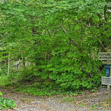 Gold Beach Apartment With Activities - 2 Mi To Ocean Экстерьер фото